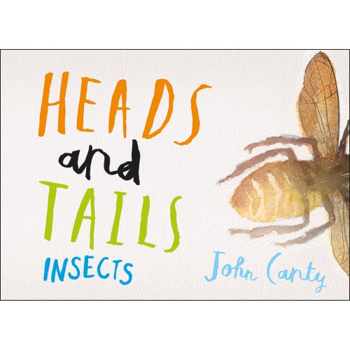 Heads and Tails - Insects