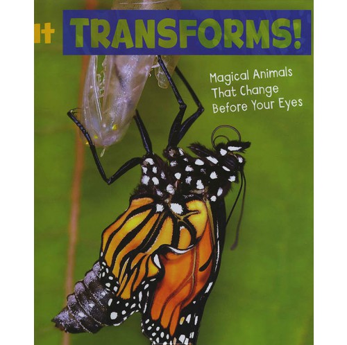 Magical Animals - It Transforms!
