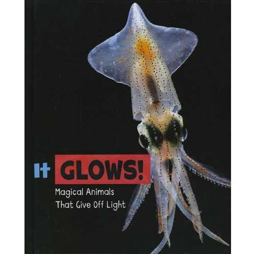 Magical Animals - It Glows!