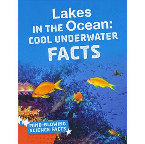 Mind-Blowing Science Facts - Lakes In The Ocean