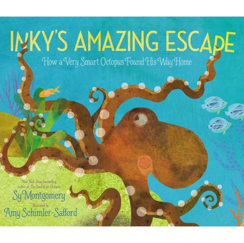 Inky's Amazing Escape - How a Very Smart Octopus Found His Way Home