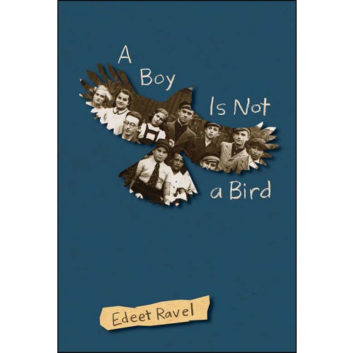 A Boy Is Not a Bird