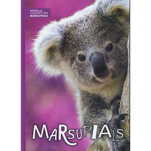 Animal Classification - Marsupials