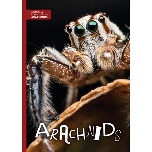 Animal Classification - Arachnids