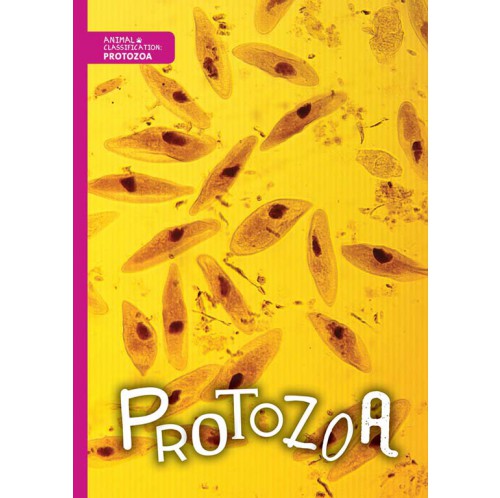 Animal Classification - Protozoa