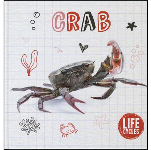 Life Cycles - Crab