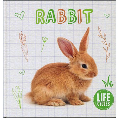 Life Cycles - Rabbit