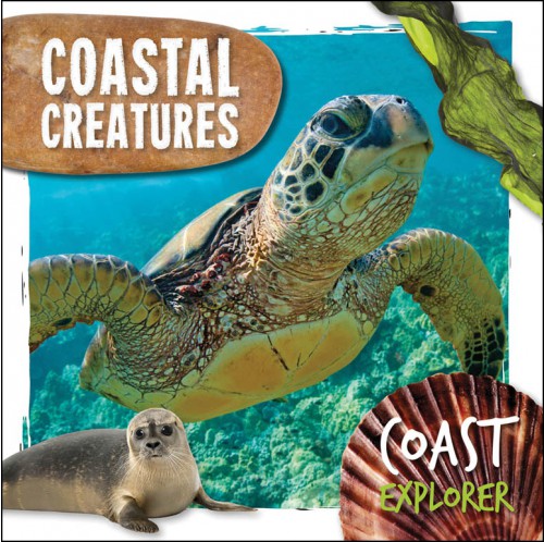 Coast Explorer - Coastal Creatures