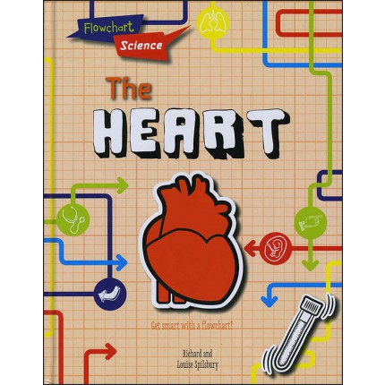 Flowchart Science - The Heart