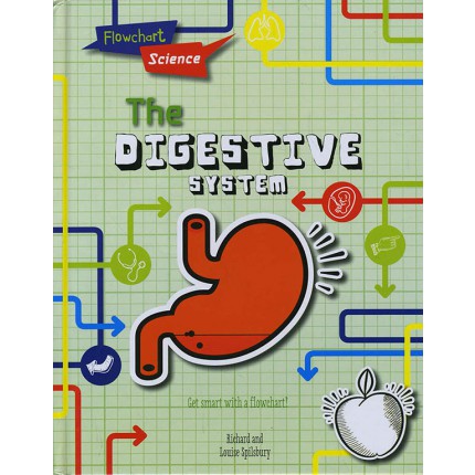 Flowchart Science - The Digestive System