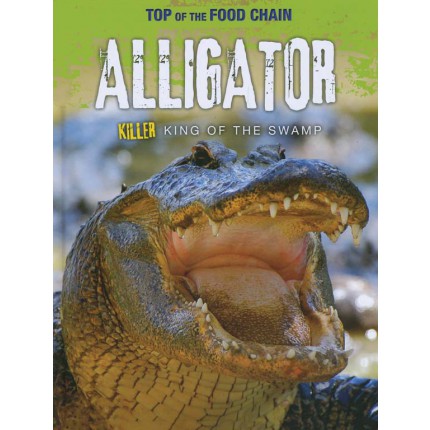 Top of the Food Chain - Alligator