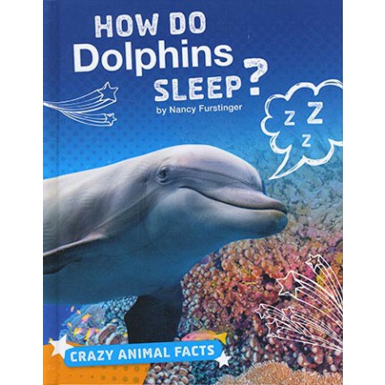 Crazy Animal Facts - How Do Dolphins Sleep?