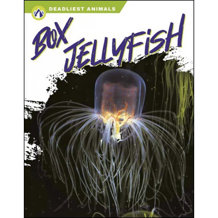 Deadliest Animals: Box Jellyfish