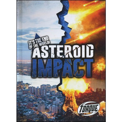It's The End Of The World: Asteroid Impact