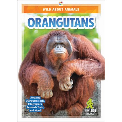 Wild About Animals: Orangutans