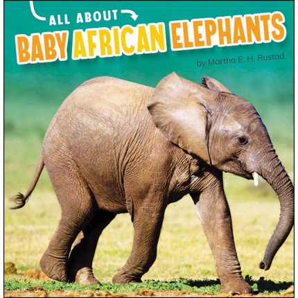 All About: Baby African Elephants