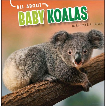 All About Baby Animals - Koalas
