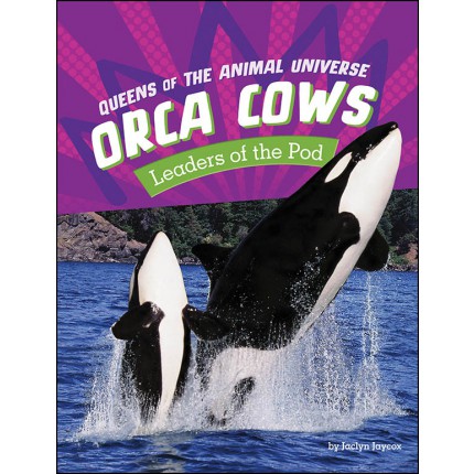Queens of the Animal Universe: Orca Cows - Leaders of the Pod