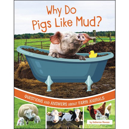 Farm Explorer: Why Do Pigs Like Mug?