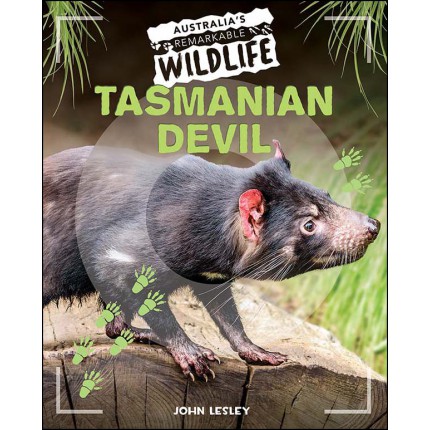 Australia's Remarkable Wildlife: Tasmanian Devil