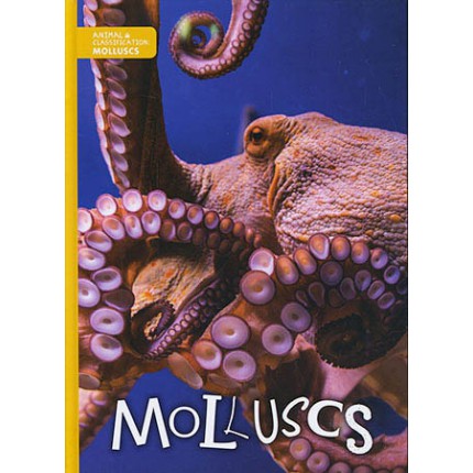 Animal Classification - Molluscs