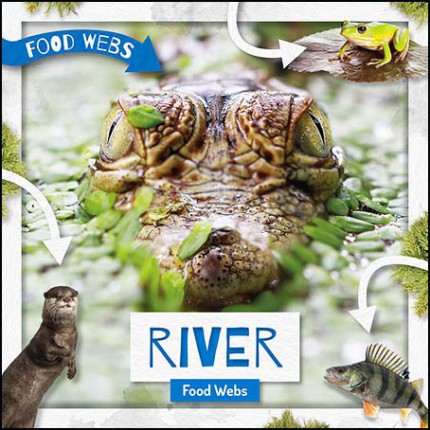 Food Webs - River Food Webs