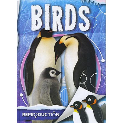 Reproduction - Birds