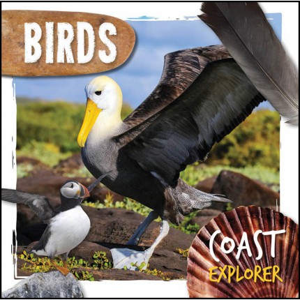 Coast Explorer - Birds
