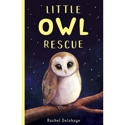 Little Owl Rescue