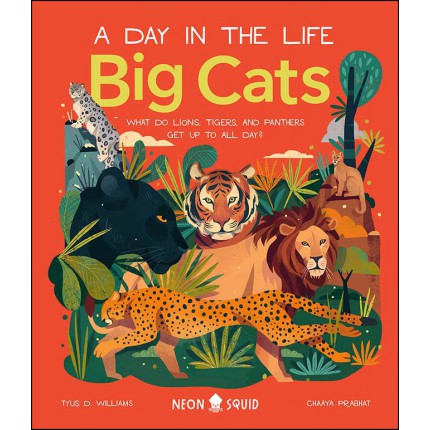 A Day in the Life - Big Cats
