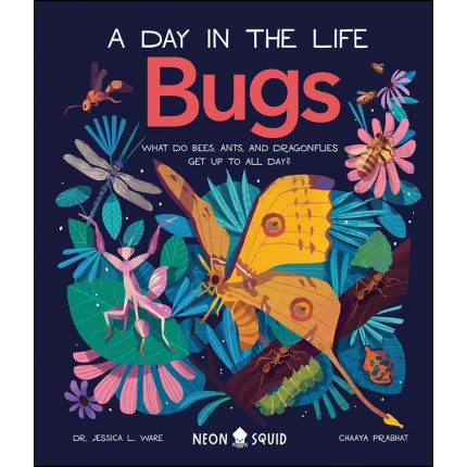 A Day in the Life - Bugs