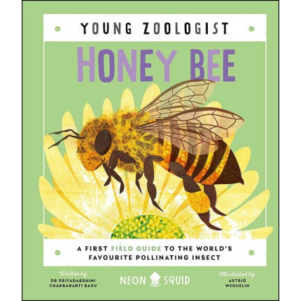 Young Zoologist - Honey Bee