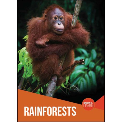 Discover and Learn - Rainforests