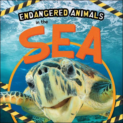 Endangered Animals - In the Sea