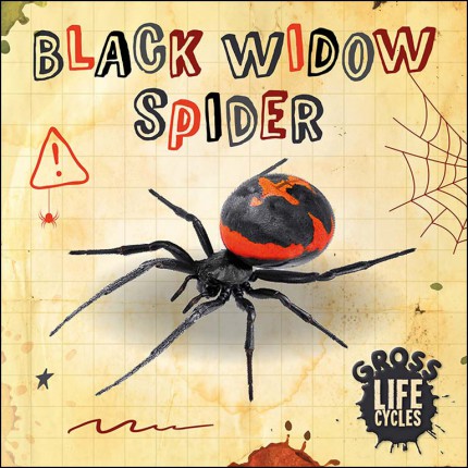 Gross Life Cycles - Black Widow Spider