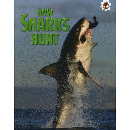 Sharks! - How Sharks Hunt