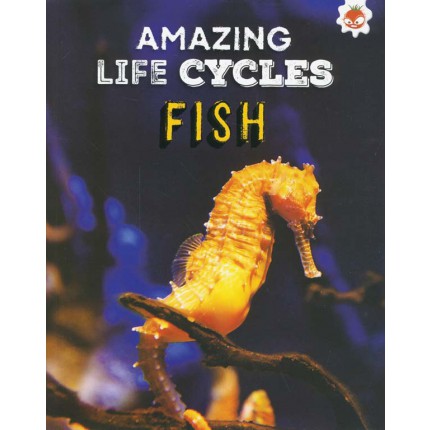 Amazing Life Cycles - Fish