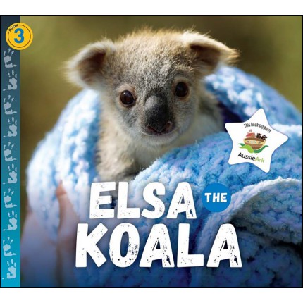 Elsa the Koala