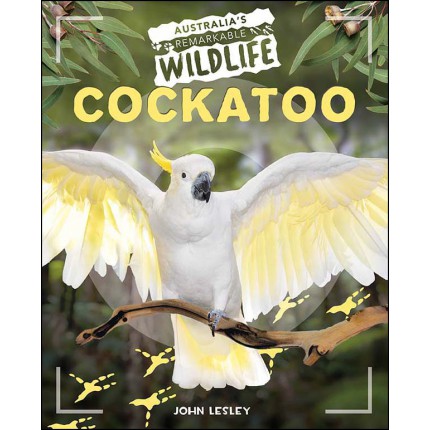 Australia's Remarkable Wildlife: Cockatoo