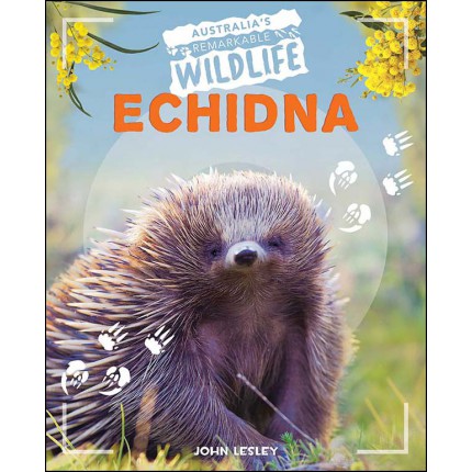 Australia's Remarkable Wildlife: Echidna
