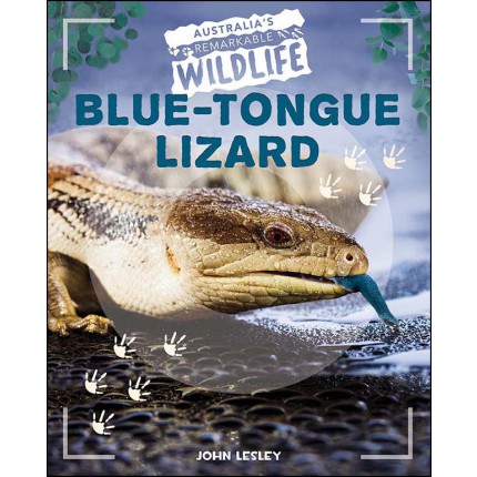 Australia's Remarkable Wildlife: Blue-Tongue Lizard