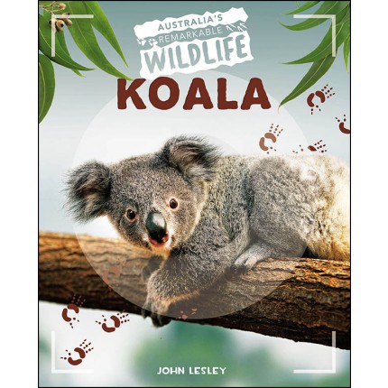 Australia's Remarkable Wildlife - Koala