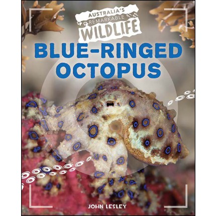 Australia's Remarkable Wildlife: Blue-Ringed Octopus
