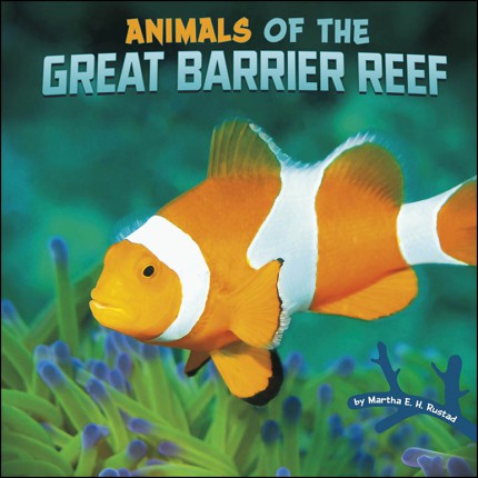 Wild Biomes - Animals of the Great Barrier Reef