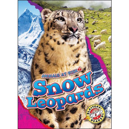 Animals At Risk: Snow Leopards