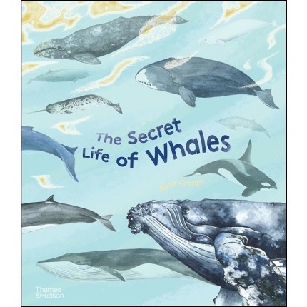 The Secret Life of Whales