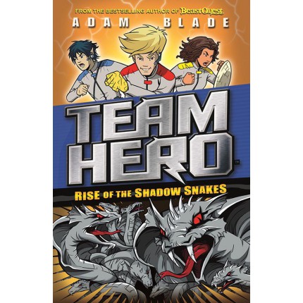 Team Hero - Rise of the Shadow Snakes