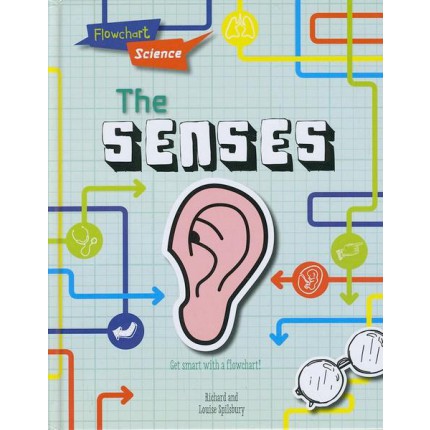 Flowchart Science - The Senses