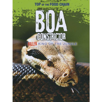 Top of the Food Chain - Boa Constrictor