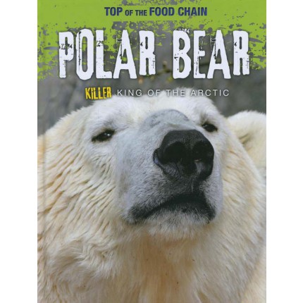 Top of the Food Chain - Polar Bear
